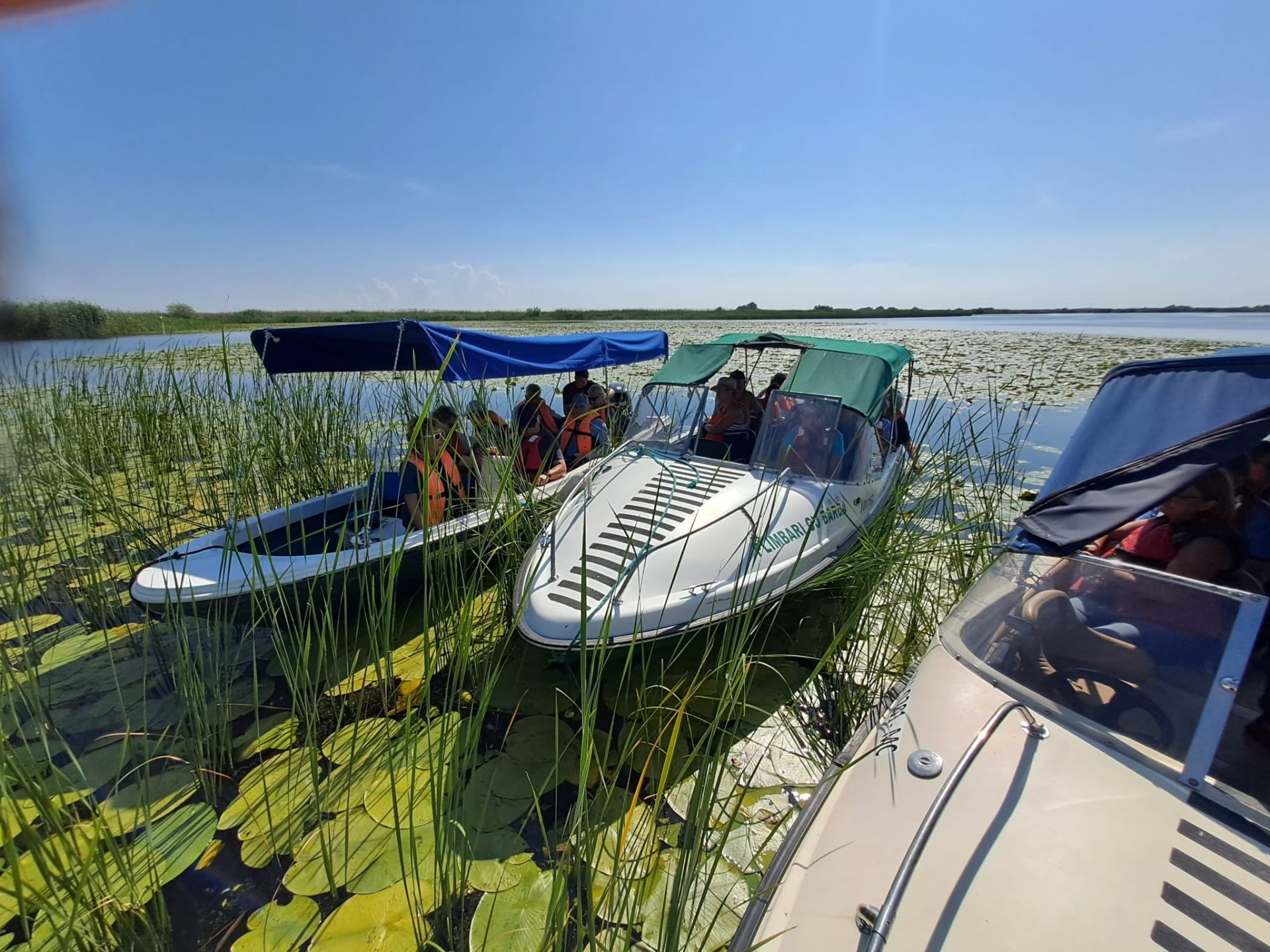 Boat Tours