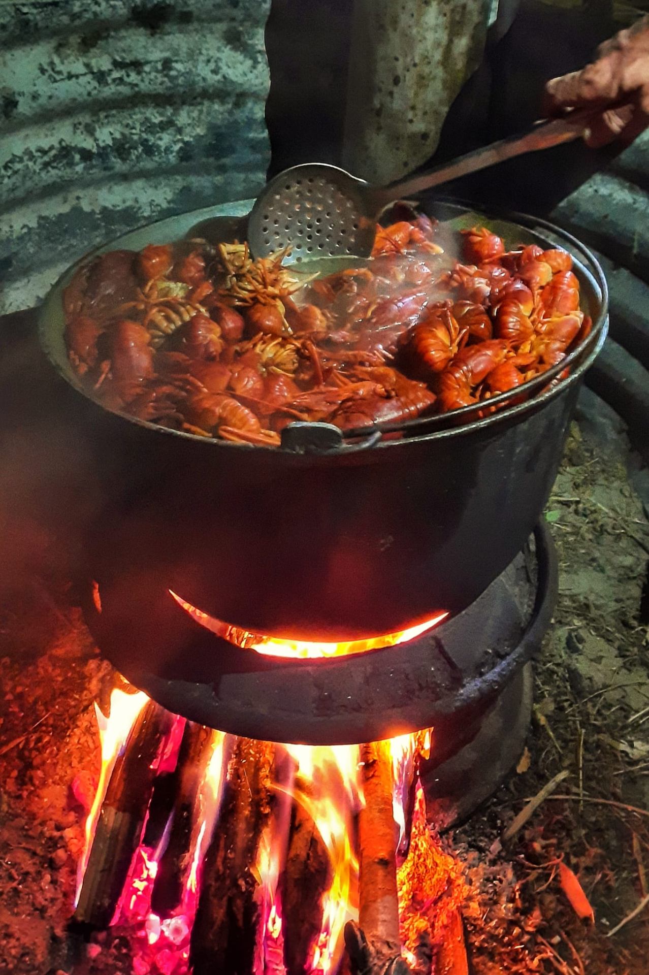 Crayfish boiling on an open fire